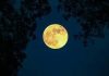 Gonzaga, mille storie al chiaro di luna: la lettura torna rito comunitario