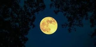 Gonzaga, mille storie al chiaro di luna: la lettura torna rito comunitario