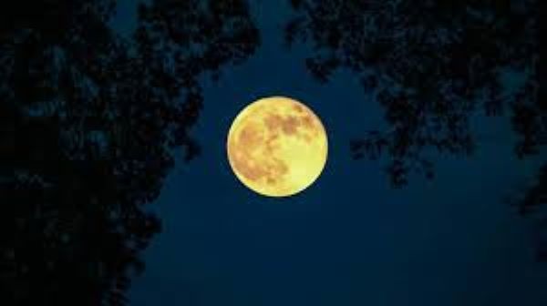 Letture chiaro di luna