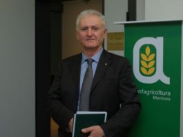 Confagricoltura Mantova boccia il maxi‑impianto agrivoltaico di Ceresara