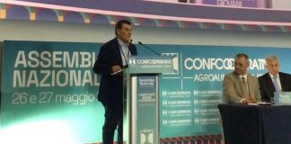Stefano Pezzini nominato vicepresidente nazionale di Confcooperative Agroalimentare