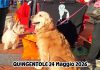 Quingentole celebra i cani con una giornata tra giochi e solidarietà