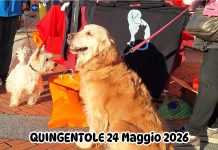 Quingentole celebra i cani con una giornata tra giochi e solidarietà