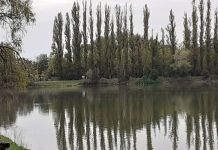 Da domani a Pegognaga il più grande festival regionale di cultura ambientale