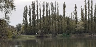Da domani a Pegognaga il più grande festival regionale di cultura ambientale
