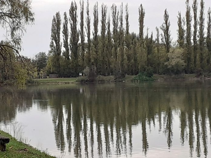 Un angolo di Parco San Lorenzo