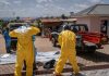 Ebola, identikit del virus Bundibugyo: storia di un nome che fa discutere