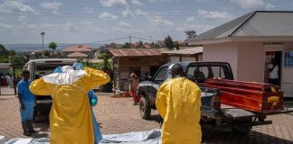 Ebola, identikit del virus Bundibugyo: storia di un nome che fa discutere