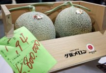 Due meloni venduti a 31mila euro, l’asta choc in Giappone per i frutti ‘d’oro’