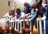 Reali e pollai, Carlo e Meghan: “I know my chickens”