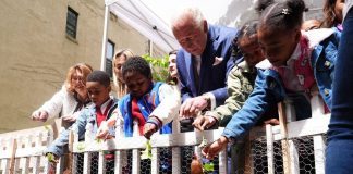 Reali e pollai, Carlo e Meghan: “I know my chickens”