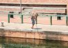 Esplode l’estate, torna il bollettino caldo del ministro della Salute