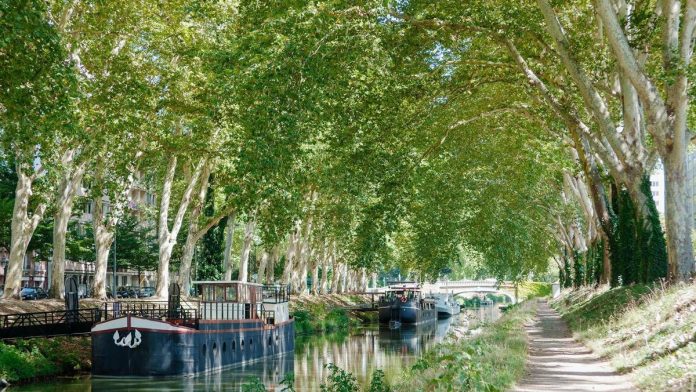 canaldumidi