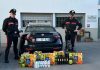 Furto da 3.000 euro a Castiglione: denunciato 28enne fermato dai Carabinieri