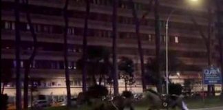 Cavalli in fuga a Roma, 4 vigili urbani fuori dalla parata del 2 giugno