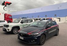 Marmirolo, operaio 50enne colpito alla testa durante le operazioni di carico