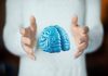 Imparare ad essere altruisti, così il cervello costruisce i comportamenti sociali