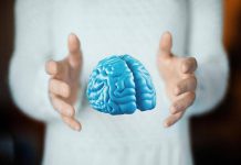 Imparare ad essere altruisti, così il cervello costruisce i comportamenti sociali