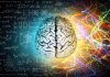 Milano, BrainSpace house per scoprire legame tra benessere di mente e cervello
