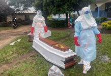 Ebola, a rischio altri 10 Paesi: ecco i fattori che hanno innescato la diffusione del virus