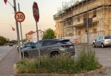 Bondeno, degrado in centro, cittadini segnalano ma la situazione resta invariata