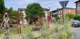 Ostiglia, marciapiedi invasi dalle erbacce nel villaggio Enel. Incorvaia: “Più attenzione alle periferie”