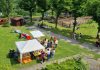 Festa delle Api a Rossonano, inclusione e natura per tutta la comunità