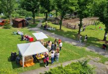 Festa delle Api a Rossonano, inclusione e natura per tutta la comunità