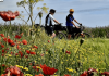 Medicina personalizzata, in bici sulla via Francigena per prevenzione e ricerca contro il cancro