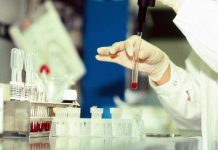 Antrace, vaiolo e virus ‘zombie’: l’indagine sui rischi nascosti nel ghiaccio da migliaia di anni