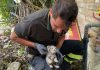 S.Giacomo delle Segnate, i vigili del fuoco salvano due gattini intrappolati nel tubo