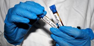 Hantavirus, Ema monitora diffusione: “Pronti a supportare iter vaccini”