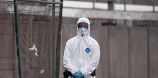 Hantavirus, l’esperta: “Più letale ma diverso da Covid, non si rischia nuova pandemia”