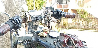 Da Mantova a Milano in moto per consegnare una Harley Davidson a Johnny Depp