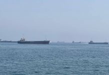 Non solo petrolio, la guerra tra Iran e Usa blocca i pistacchi: stop all’export