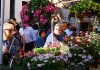 Natura, arte e sostenibilità: grande successo per “I fiori di Castellaro Lagusello”