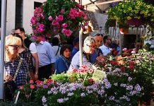 Natura, arte e sostenibilità: grande successo per “I fiori di Castellaro Lagusello”