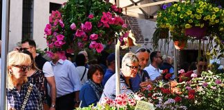 Natura, arte e sostenibilità: grande successo per “I fiori di Castellaro Lagusello”