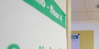 Malattie cardiovascolari, al Senato piano europeo per ridurre mortalità