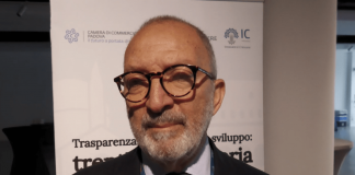 Imprese, Santocono (InfoCamere): “Investimento di 650 mln all’anno per le prime dieci autocertificazioni”