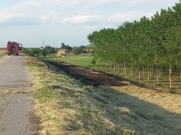 Piumini dei pioppi in fiamme: weekend di roghi nel Mantovano