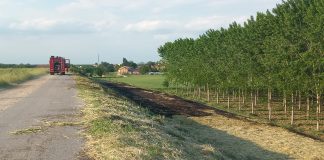 Piumini dei pioppi in fiamme: weekend di roghi nel Mantovano