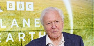 David Attenborough compie 100 anni e riceve un regalo speciale dal Museo di Storia Naturale