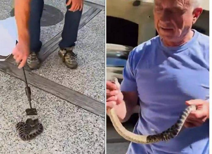 kennedy_serpente_fi