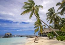 Immersione killer alle Maldive, morti cinque italiani