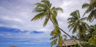 Immersione killer alle Maldive, morti cinque italiani
