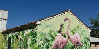 Gli studenti del Liceo Giulio Romano firmano il murale “Fenicotteri Rosa” ad Albarella