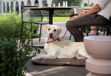 Mantova Village, Aperidog: l’aperitivo che celebra l’amicizia tra persone e cani