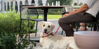 Mantova Village, Aperidog: l’aperitivo che celebra l’amicizia tra persone e cani