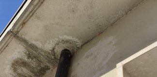 Porto Mantovano, infiltrazioni al palazzetto di Soave: nuova mozione di Voi e Pernigotti